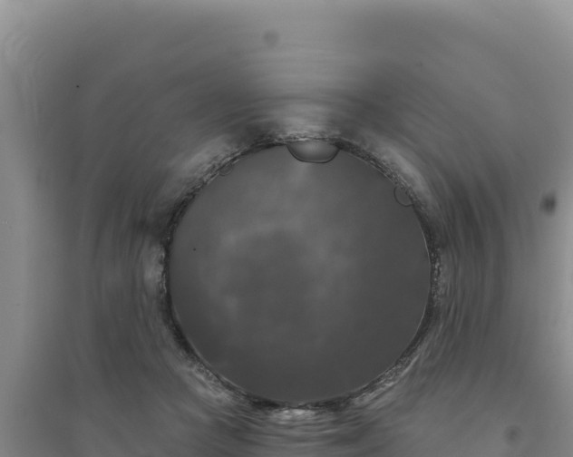 X0000094350361200711091458