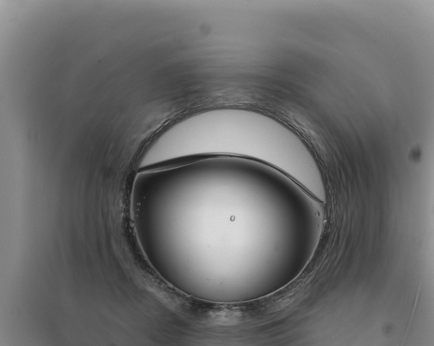 X0000094350362200711091458