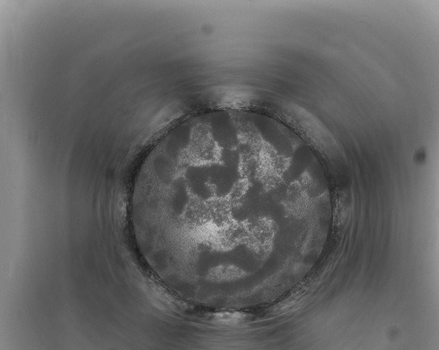 X0000094350363200711091458