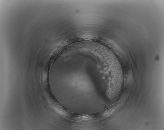 X0000094350365200711091458