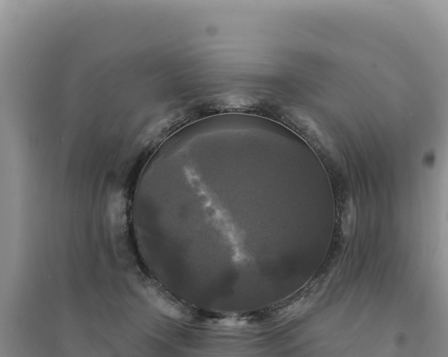 X0000094350366200711091458