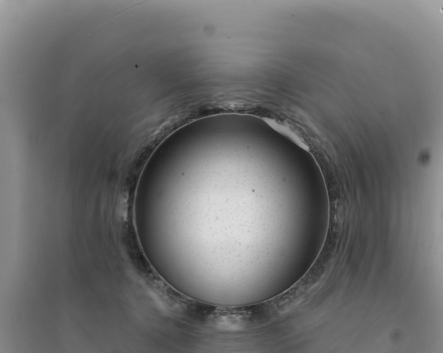 X0000094350368200711091458