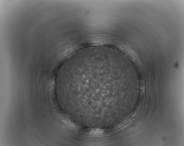 X0000094350369200711091458