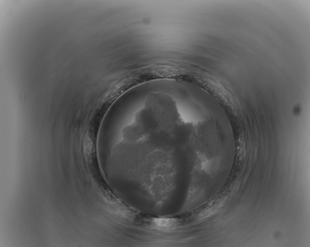 X0000094350371200711091458