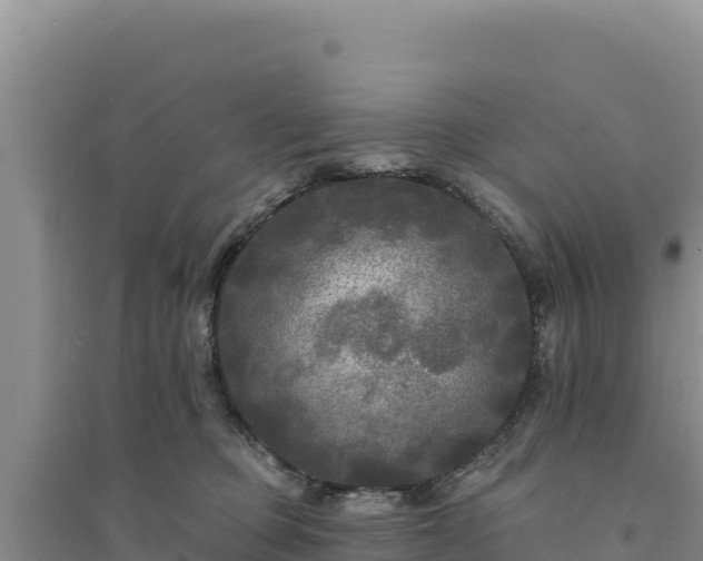 X0000094350373200711091458