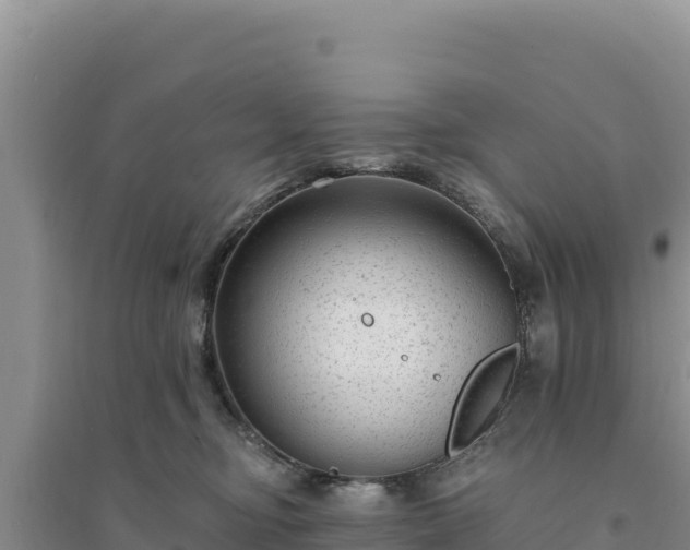 X0000094350374200711091458