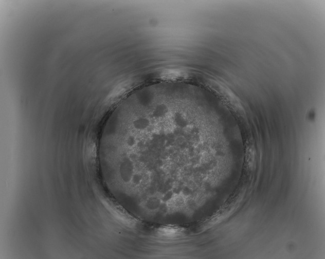 X0000094350375200711091458