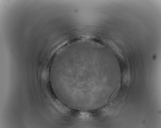 X0000094350376200711091458