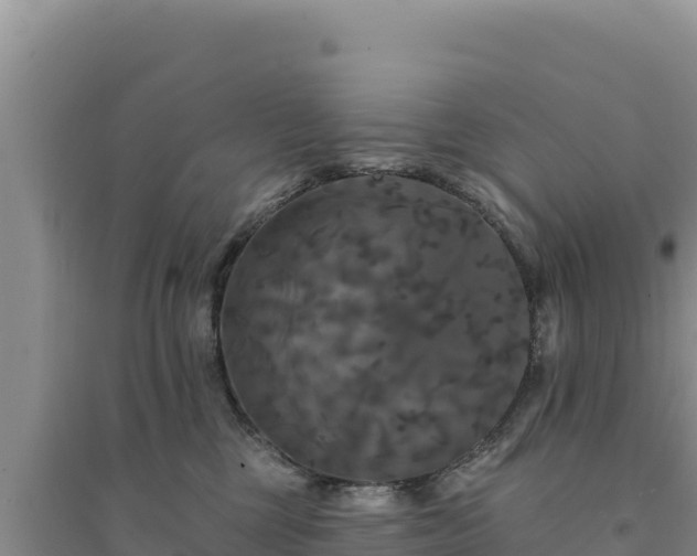 X0000094350377200711091458