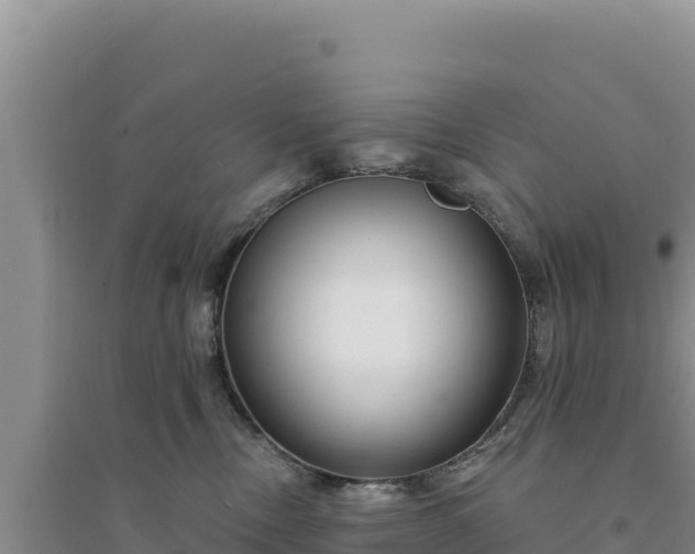 X0000094350378200711091458