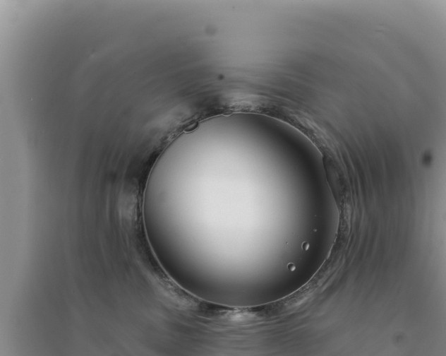 X0000094350379200711091458