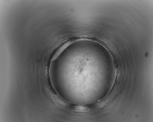 X0000094350380200711091458