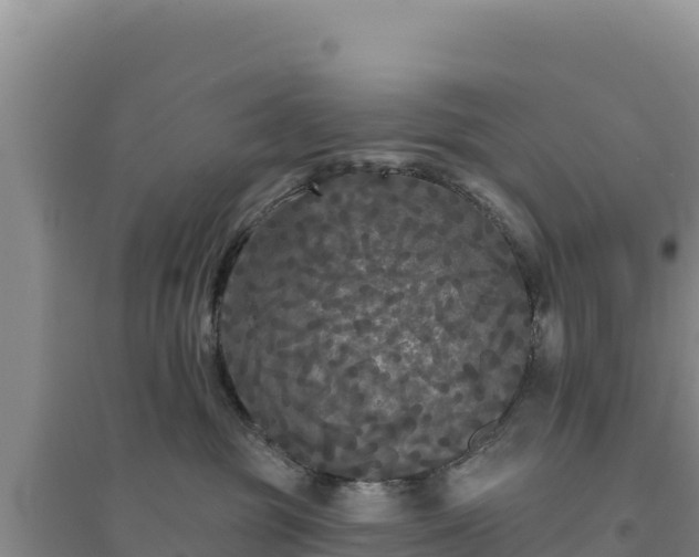 X0000094350381200711091458