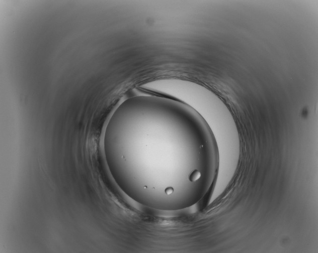 X0000094350382200711091458