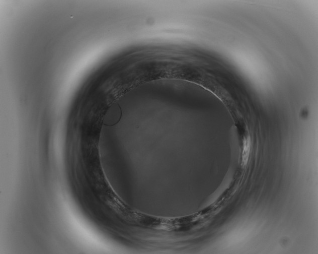 X0000094350383200711091458