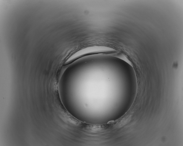 X0000094350384200711091458