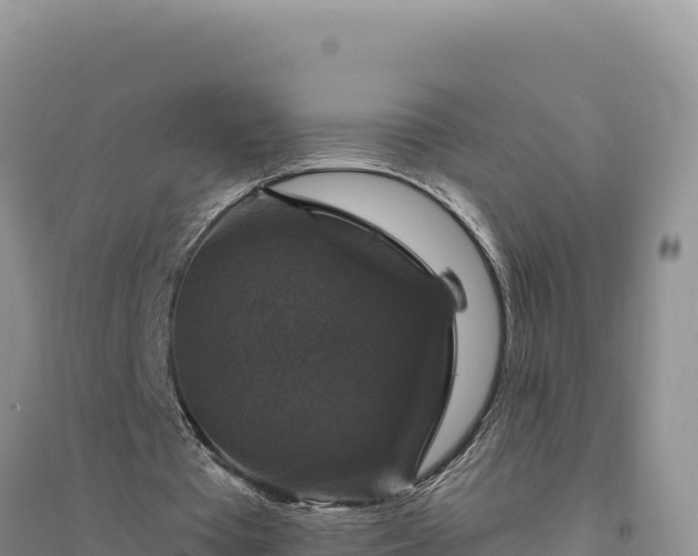 X0000094350385200711091457