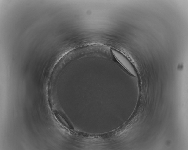 X0000094350386200711091457