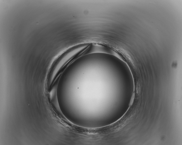 X0000094350388200711091457