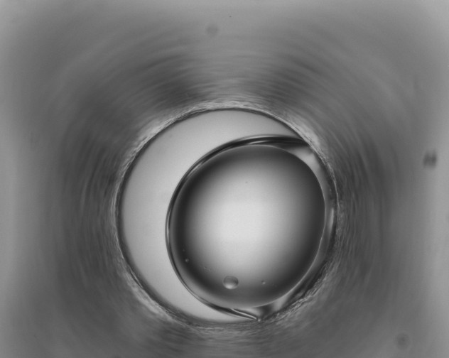 X0000094350389200711091457