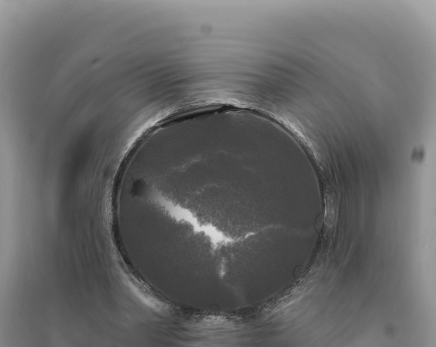 X0000094350390200711091457