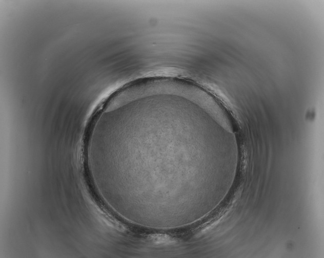 X0000094350392200711091457