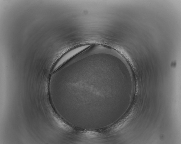 X0000094350393200711091457