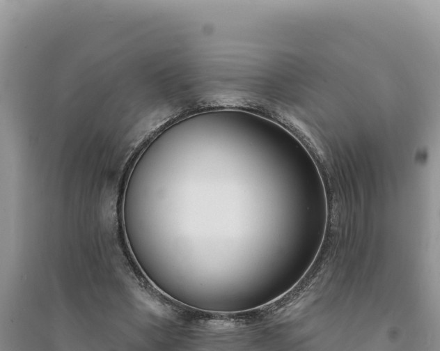 X0000094350394200711091457