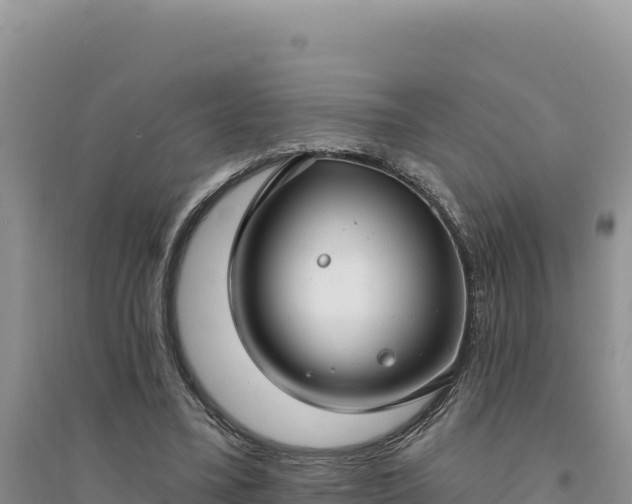 X0000094350395200711091457