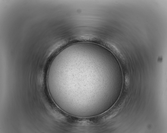 X0000094350396200711091457