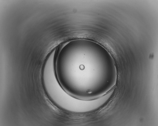 X0000094350397200711091457