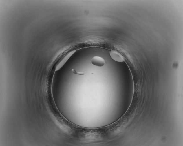 X0000094350400200711091457