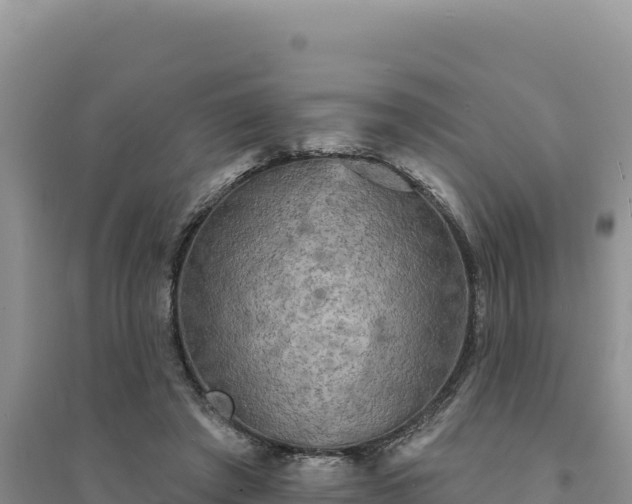 X0000094350401200711091457