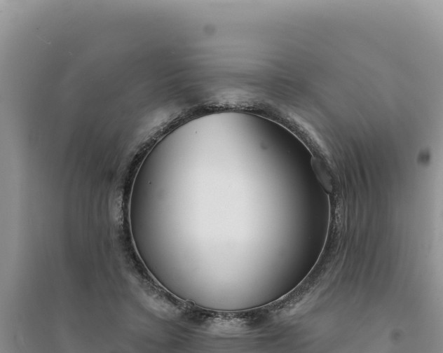 X0000094350403200711091457