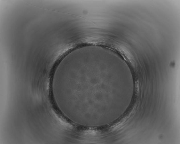 X0000094350404200711091457