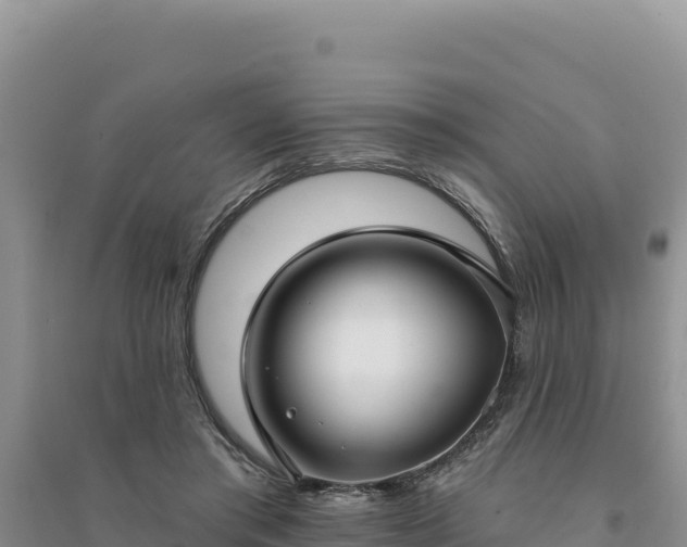 X0000094350405200711091457