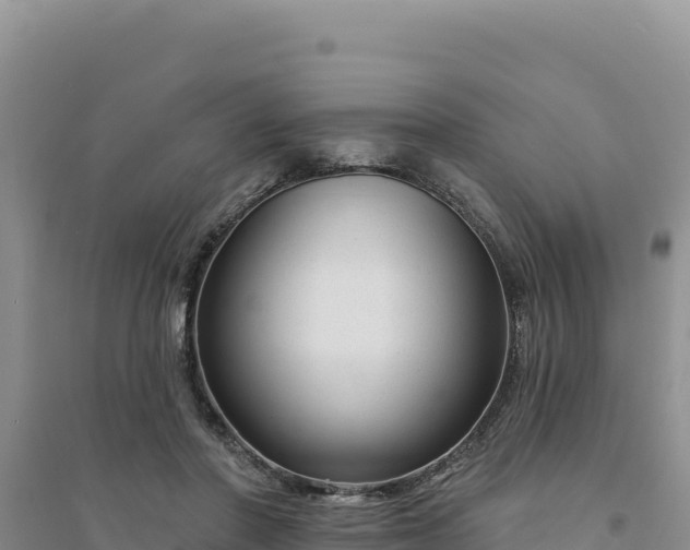 X0000094350406200711091457