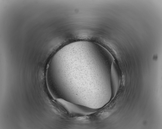 X0000094350407200711091457