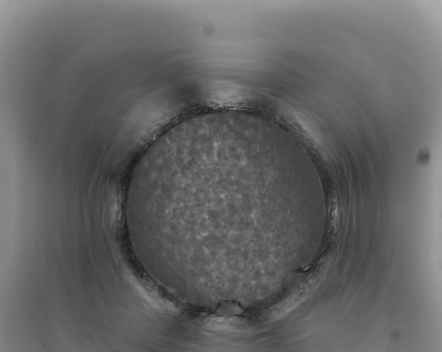 X0000094350408200711091457