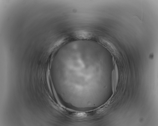 X0000094350409200711091457