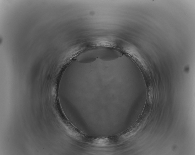 X0000094350410200711091457