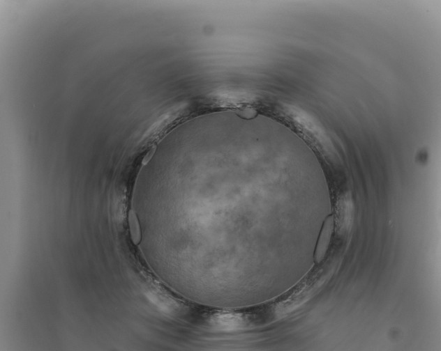 X0000094350413200711091457