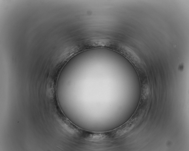 X0000094350414200711091457