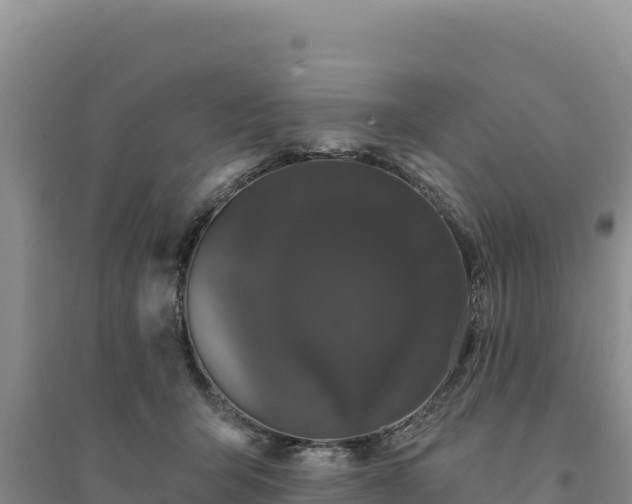 X0000094350415200711091456