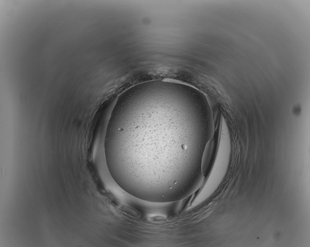 X0000094350416200711091456