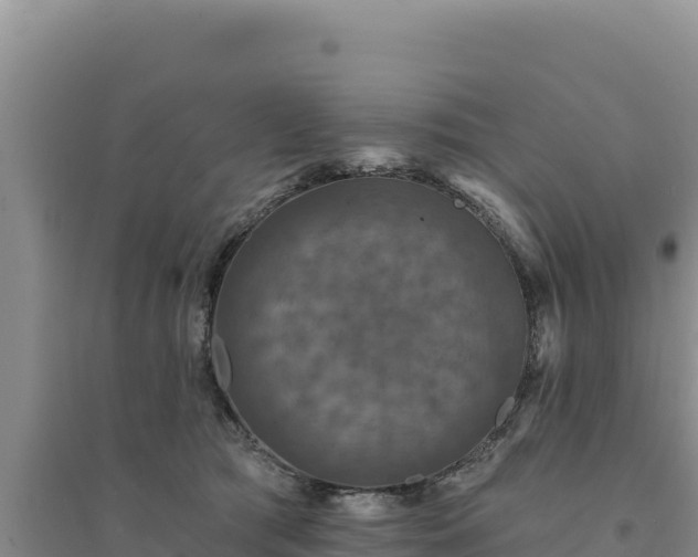 X0000094350417200711091456