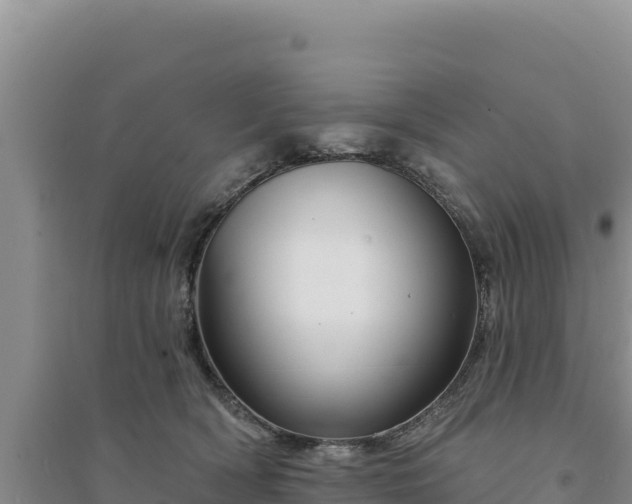 X0000094350418200711091456