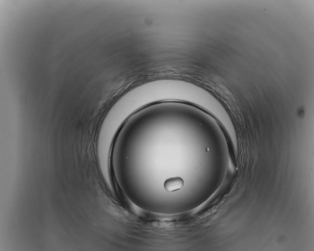 X0000094350419200711091456