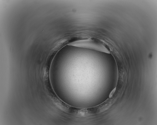 X0000094350420200711091456