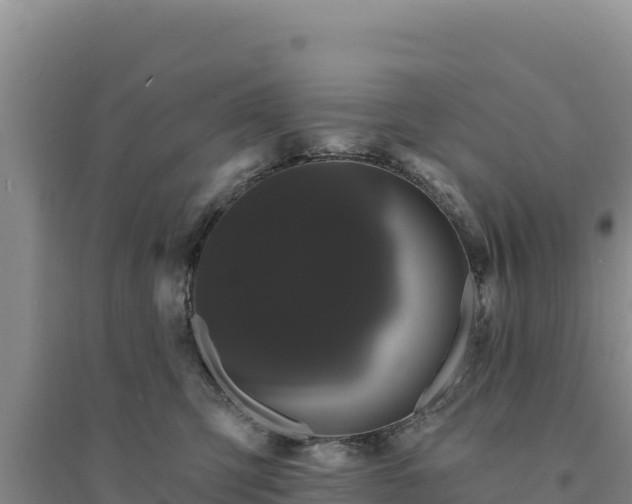 X0000094350423200711091456